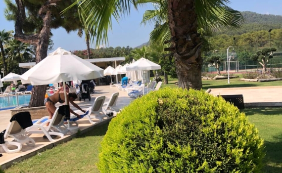 Новый год под пальмой: куда уехать на Новый год без визы и хлопот — праздник без границ