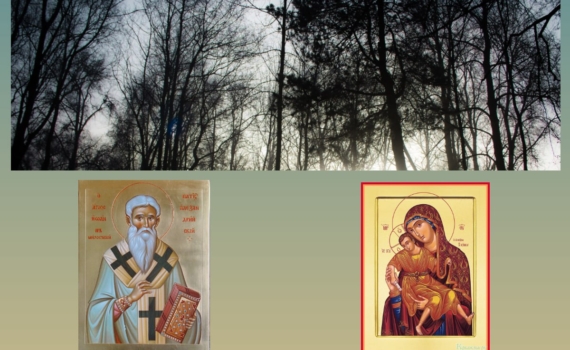 25 ноября — Иван Милостивый и икона Богородицы: что можно и нельзя — молитва об исполнении желания